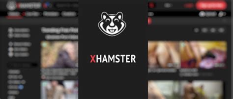 x hamsterlive|Basic Tour for Users